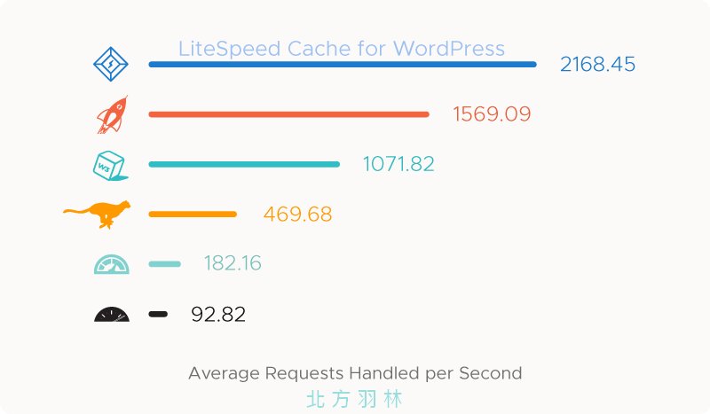 如何使用 Litespeed Cache 使你的WordPress 速度更快