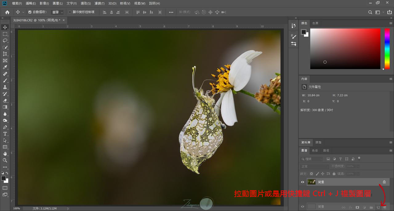 PhotoShop 教學 | 遮色片銳利化一分鐘給你清晰的相片