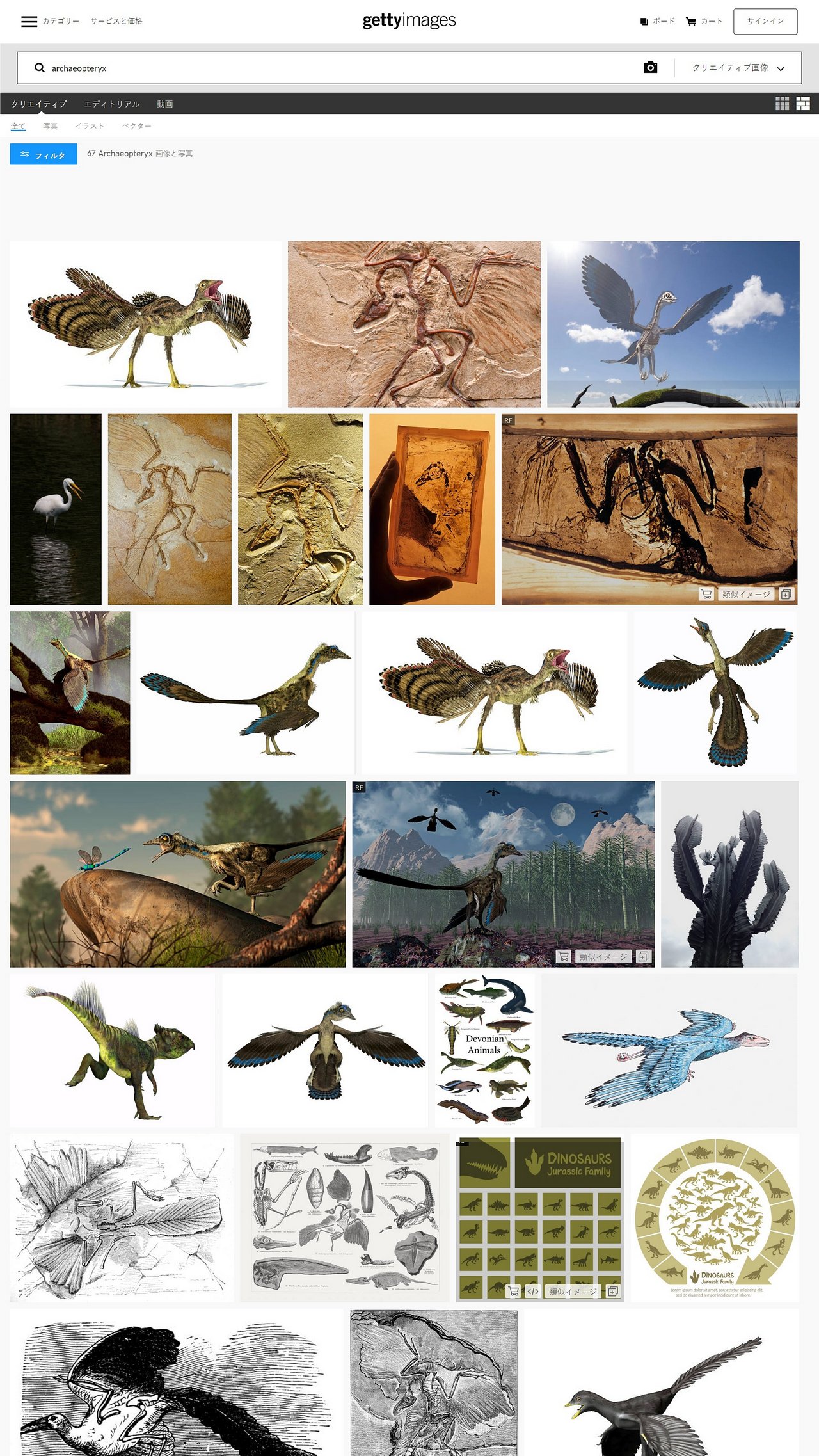 Getty Images 中可以找到的古生物圖片非常多，這也是為什麼 Zeta 要推薦這個線上圖庫的原因